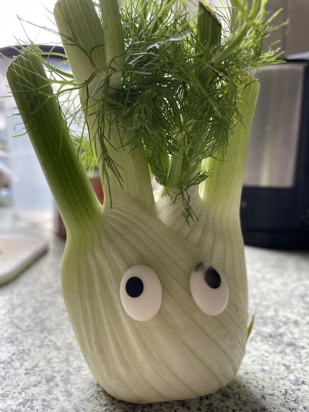 fennel-6788e91a89a11.jpg