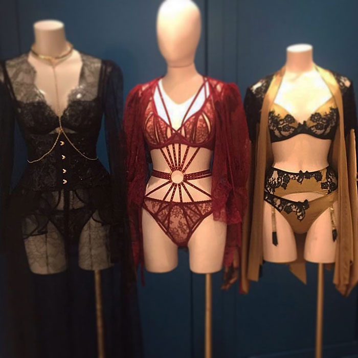 Lingerie displayed on mannequins in a boutique setting, highlighting stylish business offerings.