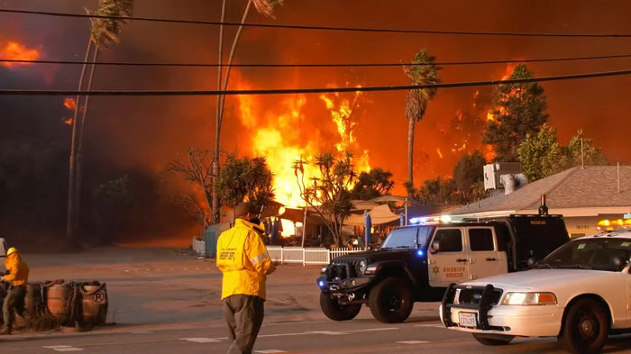 "Narcissist": Anchor Criticized For Pinning Jacket To "Look More Buff" During LA Fire Report