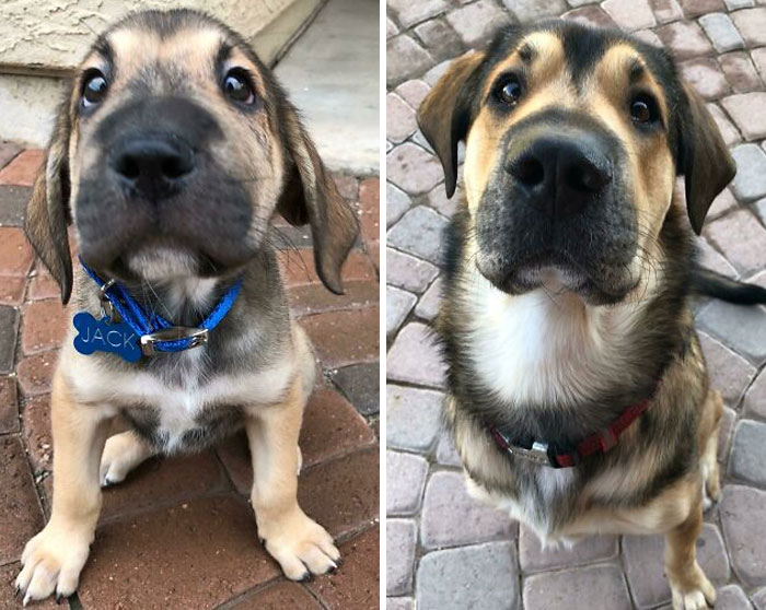 10 Weeks To 14 Months