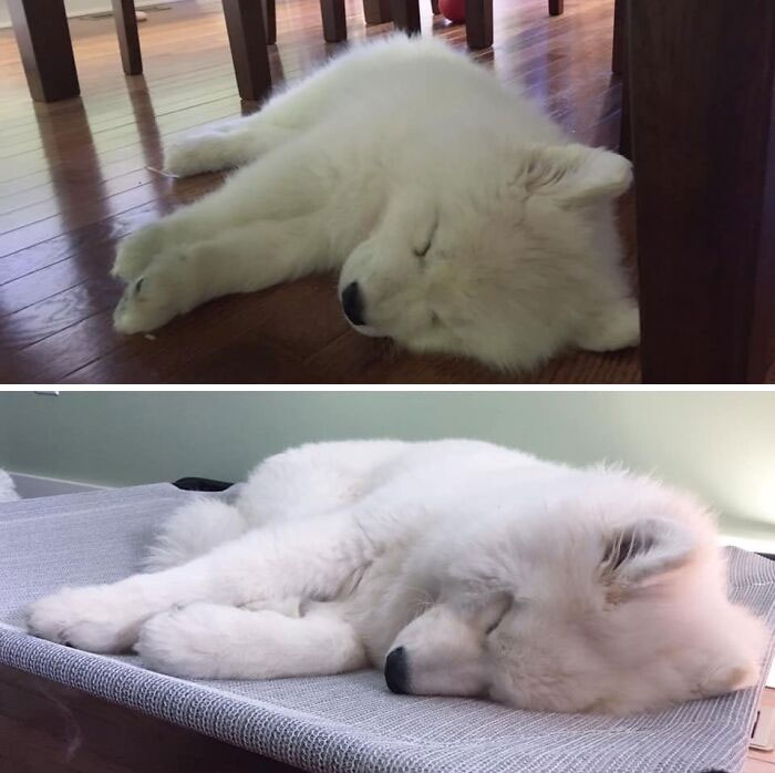 2 Months To 6 Months. A Noticeable Growth Spurt!