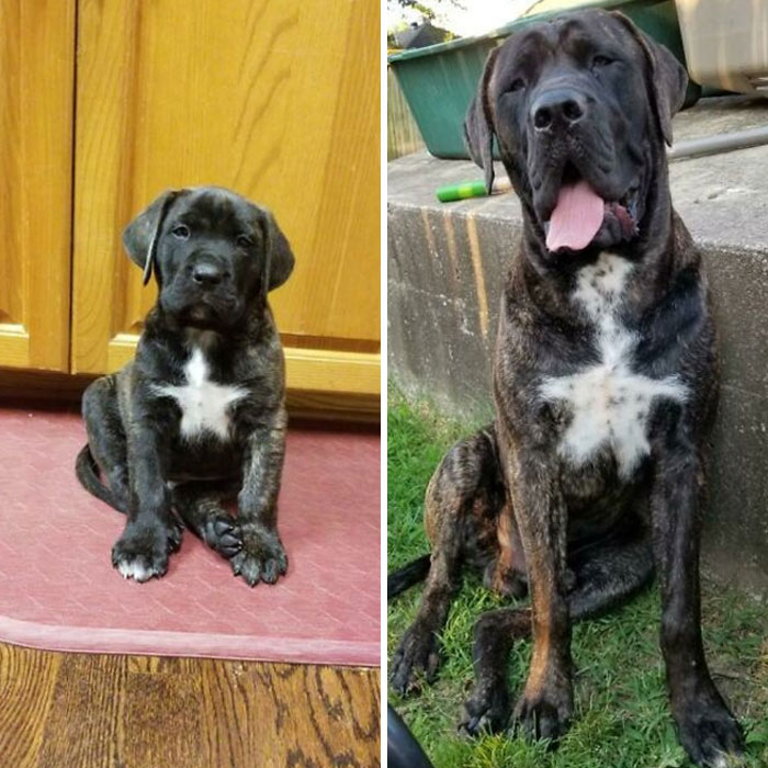 Marvin 1 Month To 1 Year