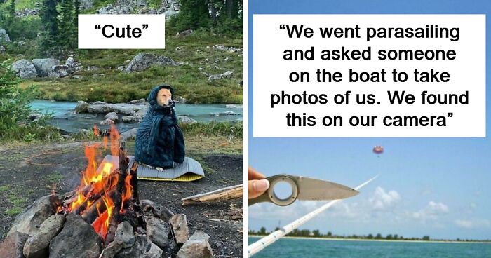 71 Times People Found Unexpected Gems In Their Camera Rolls