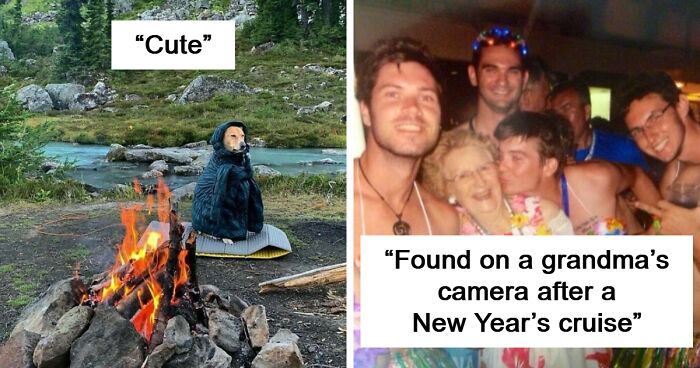 71 Ridiculous Photos People Found On Their Phone That Had Them Crying With Laughter