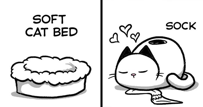 20 Hilarious Cat Moments That Every Cat Person Can Relate To, Illustrated By Lucas Turnbloom