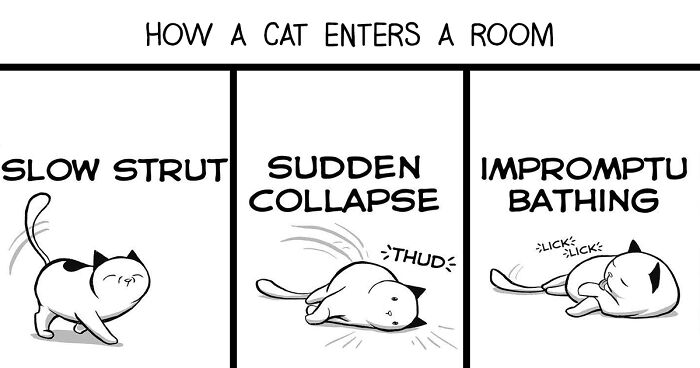 20 Comics Depicting Hilarious Cat Behavior That All Cat Lovers Can Relate To, By Lucas Turnbloom (New Pics)