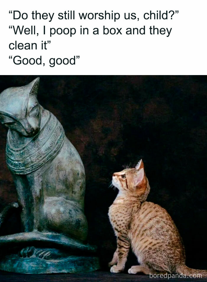 Cat looking at Egyptian statue with humorous text overlay blending great works of art and memes