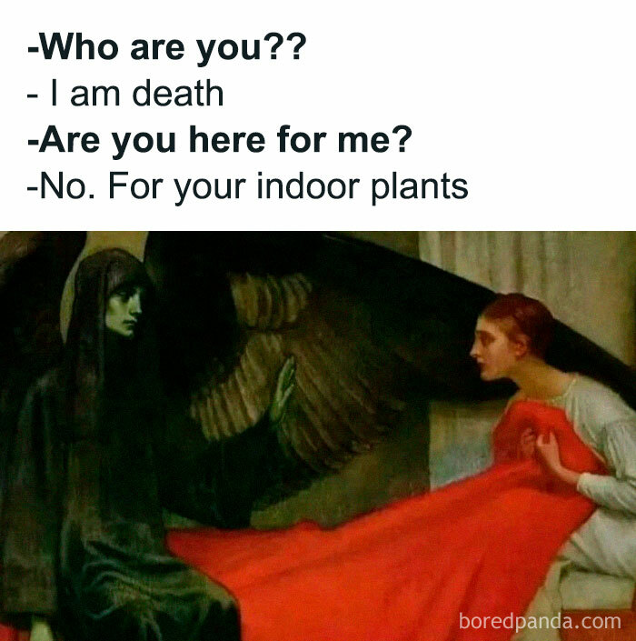 Classical art with a hooded figure humorously discussing indoor plants, blending timeless art and modern humor.