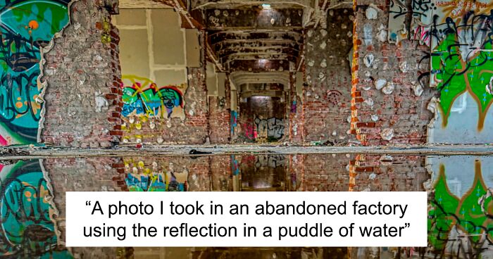 79 Pictures With Very Confusing Perspectives (New Pics)