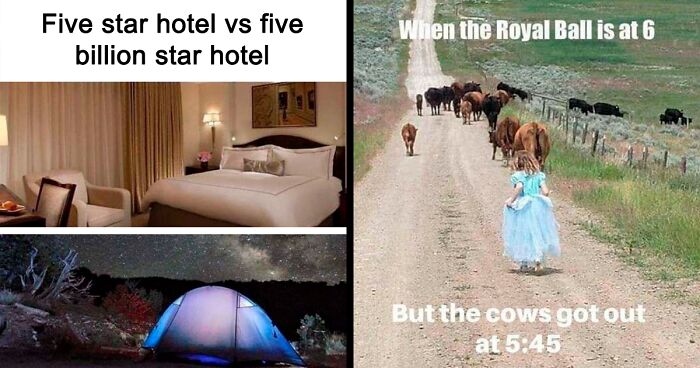 65 Country Life Memes That Only Those Who’ve Lived In The Sticks May Understand