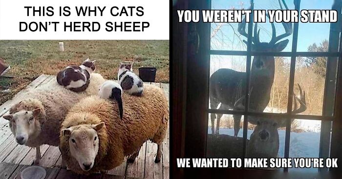 65 Hilarious Memes That Prove Living In The Countryside Isn’t For The Faint Of Heart