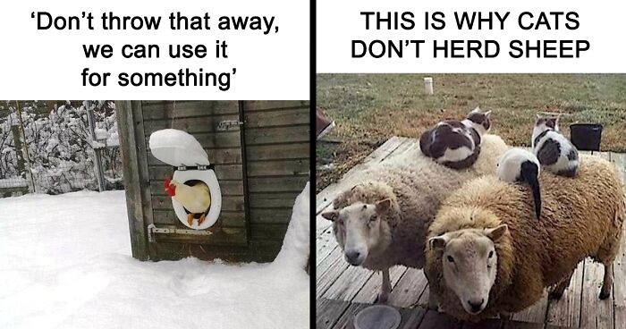 ‘My Country Corner’: 65 Country Living Memes That Are More Fun Than A Mule In A Muddy Field