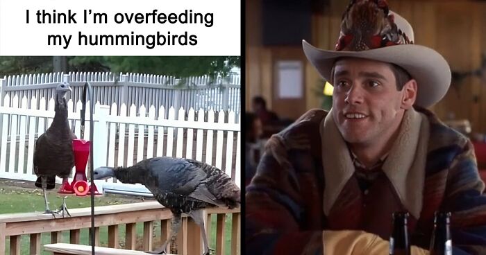 65 Country Life Memes That May Entertain Even The Most Stubborn City Folk