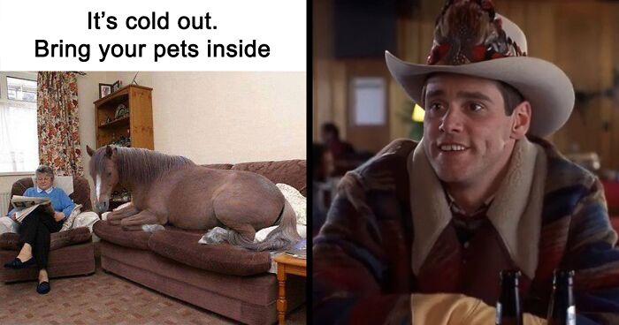 65 Country Life Memes That Only Those Who’ve Lived In The Sticks May Understand