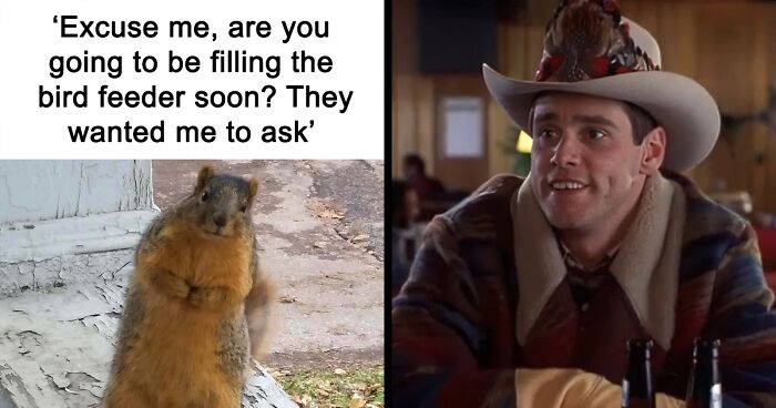 This IG Page Is The Hub For Country Living Memes, Here Are 65 To Make You Say ‘Yeehaw’