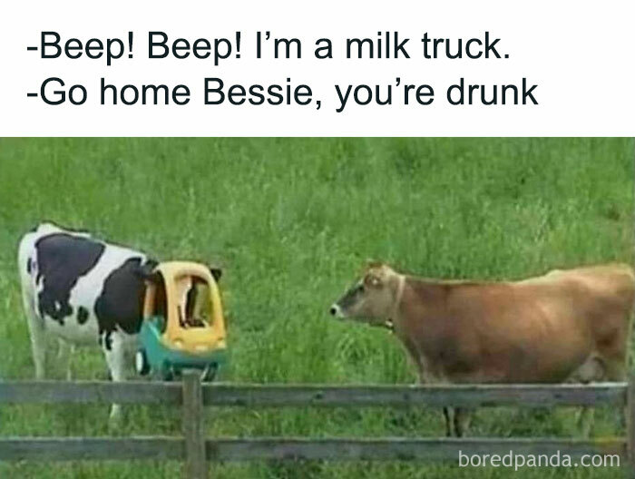 Funny-Country-Living-Memes