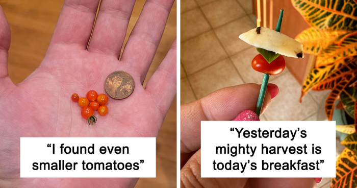 77 Times People Got Into The Spirit Of Gardening But Failed To Get A “Mighty Harvest” (New Pics)