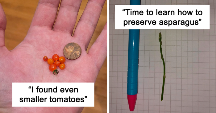 77 Times People Got Into The Spirit Of Gardening But Failed To Get A “Mighty Harvest” (New Pics)