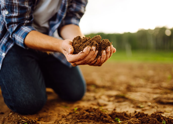 A man holding soil in his hands outdoors, wearing a plaid shirt and jeans, possibly discussing nature or gardening mansplaining.