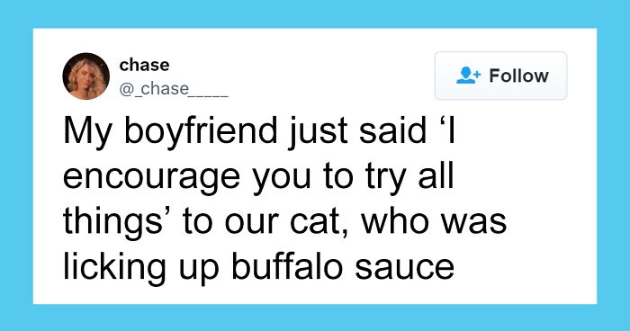 106 Women Who Were So Hilarious On X Recently, They Deserved An Award