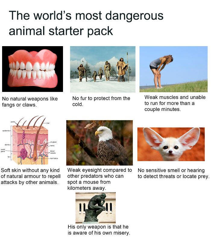 "The world’s most dangerous animal starter pack" featuring humorous images highlighting human vulnerabilities.