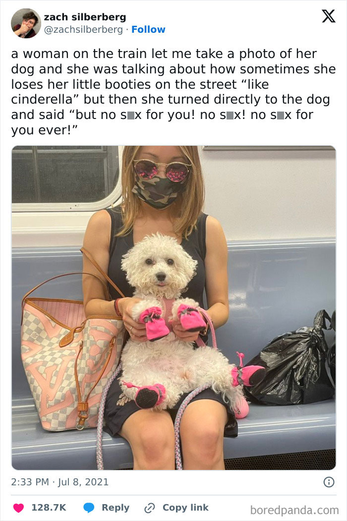 Woman on subway holding a dog wearing pink booties, highlighting funny train passengers.