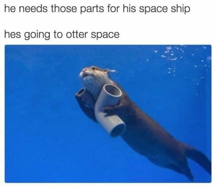 Otter underwater holding plastic pipes, humorously captioned about space travel, showcasing heartwarming kindness.