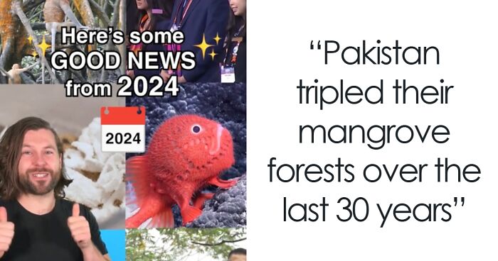 12 Uplifting Stories From 2024 For Those Who Want A Timeline Cleanse