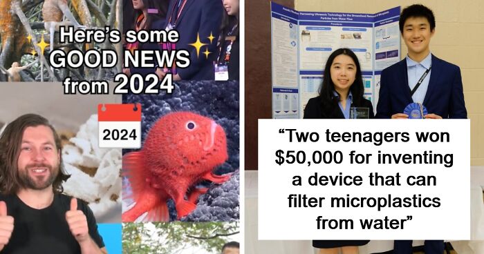 12 Inspiring Stories From 2024 That May Bring You More Optimism