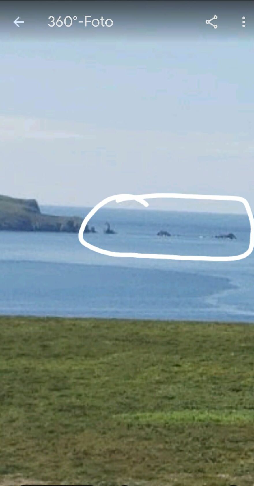 Unusual object circled in coastline view captured by Google Earth.