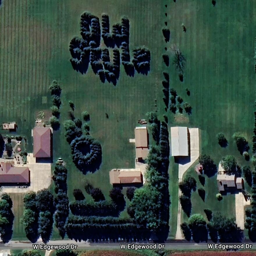 Strange pattern of trees visible on Google Earth, resembling words, surrounded by houses on W Edgewood Dr.