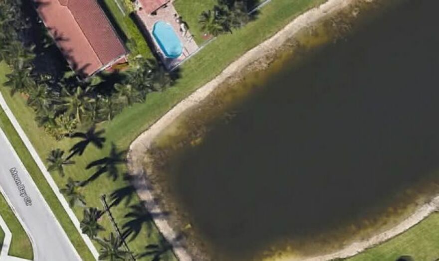 Aerial view of a backyard with a pool next to a large pond, discovered on Google Earth.