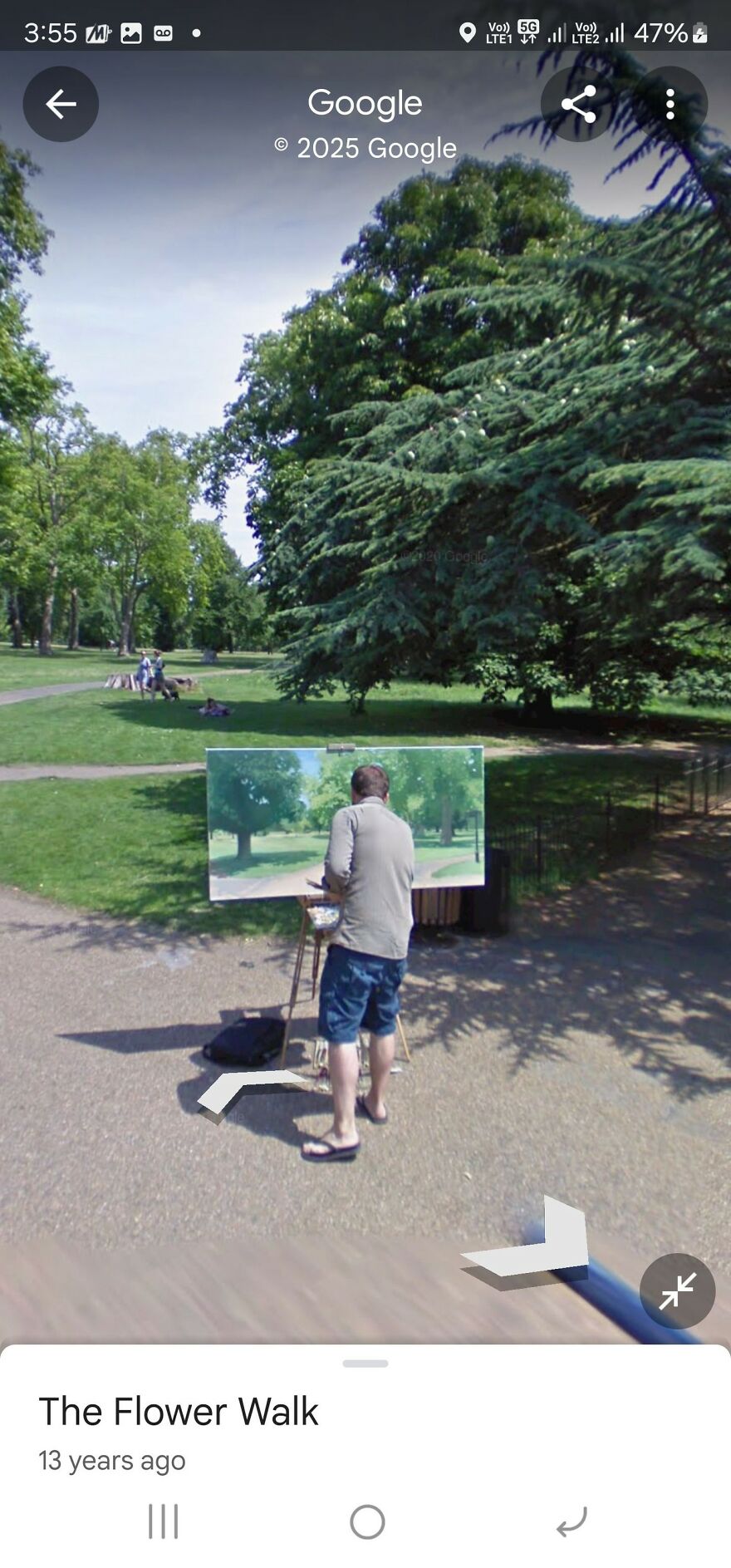 Painter captured creating art in a park, discovered on Google Earth.