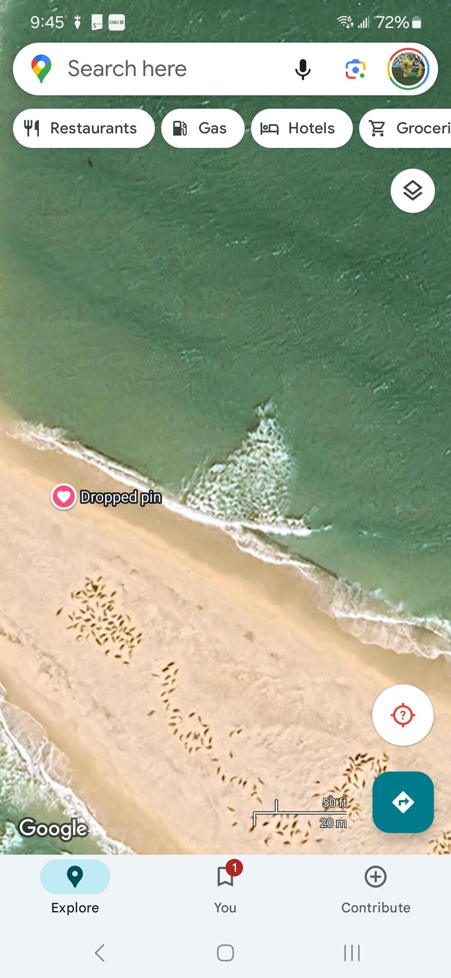 Google Earth view of a mysterious beach pattern with a dropped pin, showcasing a strange discovery.