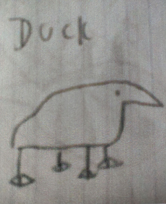 Child's funny drawing labeled "Duck" depicting a simplified bird outline.