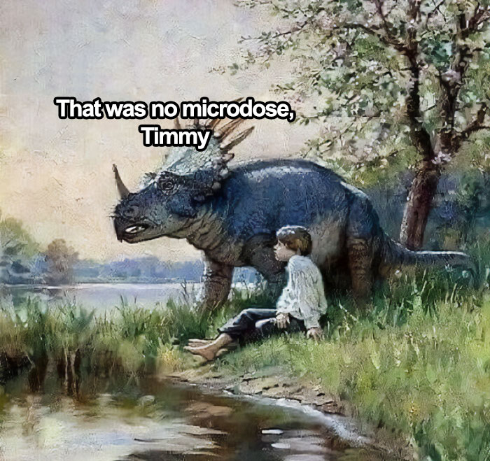 A boy and a dinosaur sit by a lake with the text "That was no microdose, Timmy" in a humorous meme scene.