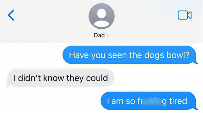 Text message exchange meme with dad humor, highlighting a pun about dogs bowling.