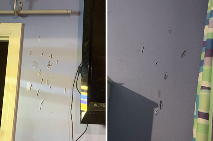 Wall damage near door and TV, possibly caused by horrible roommates.