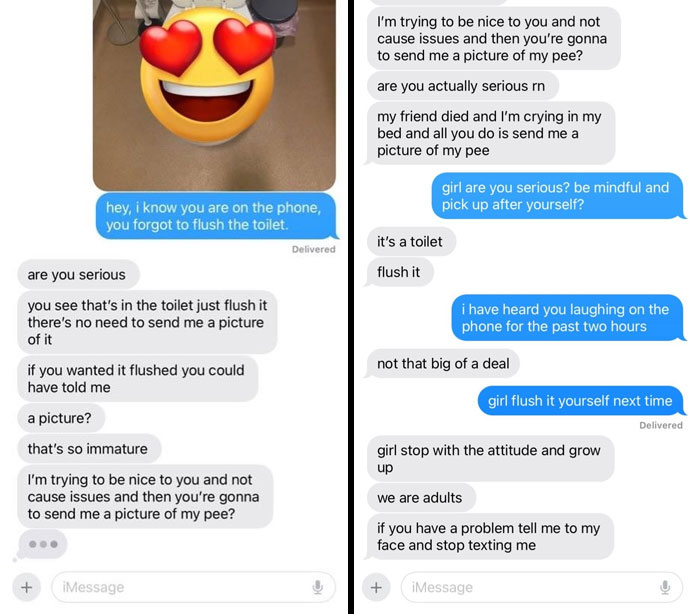 Text exchange highlighting issues with horrible roommates over a toilet flushing dispute.