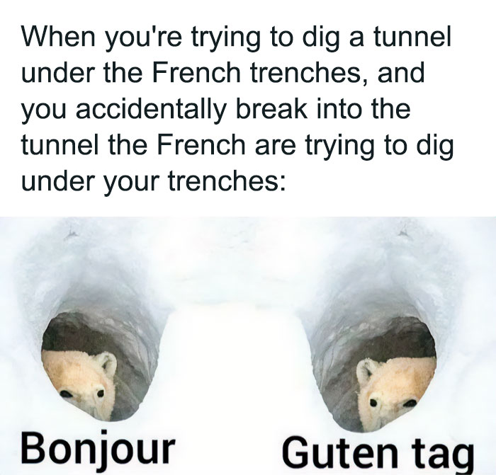 Meme humorously depicts a historical trench encounter with two animals in tunnels saying "Bonjour" and "Guten tag".