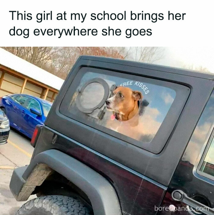 Dog looking out Jeep window titled "Free Kisses," showcasing a hilarious meme.