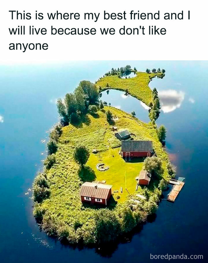 Aerial view of a small island with houses, showcasing a meme about living in isolation with a friend.