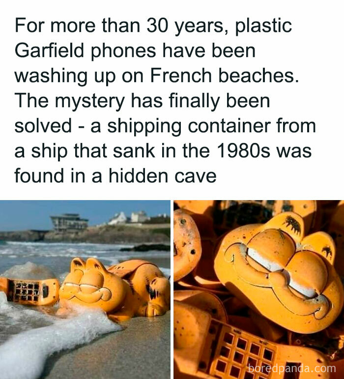 Nostalgic meme featuring plastic Garfield phones washed up on French beaches, solved mystery explained.