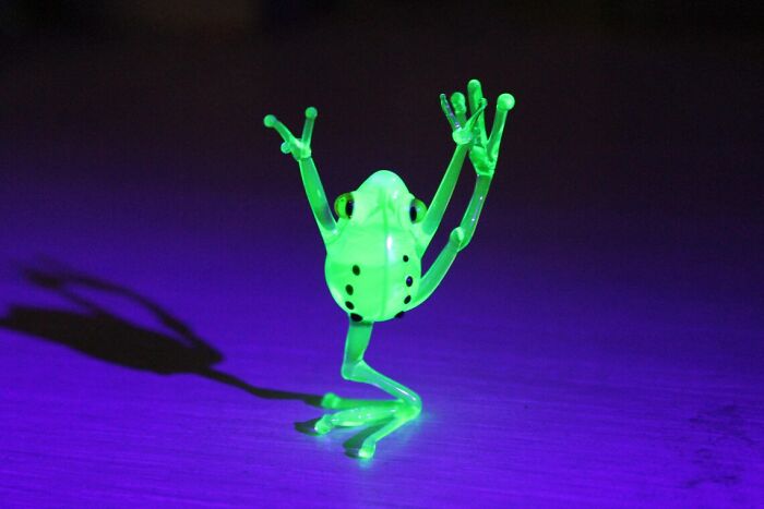 I Created Uranium Frogs That Glow Under The Ultraviolet Light For A Theme Party