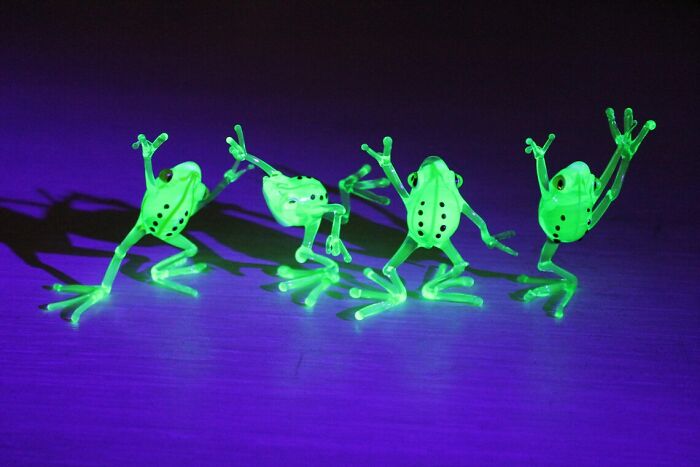 I Created Uranium Frogs That Glow Under The Ultraviolet Light For A Theme Party