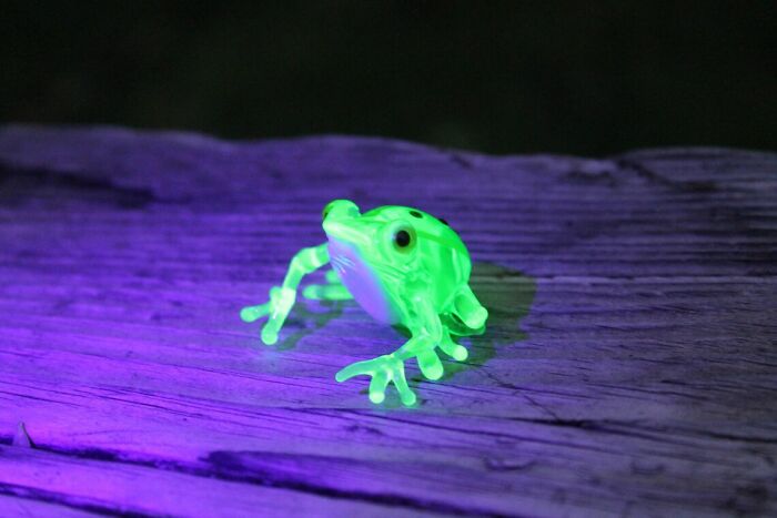 I Created Uranium Frogs That Glow Under The Ultraviolet Light For A Theme Party