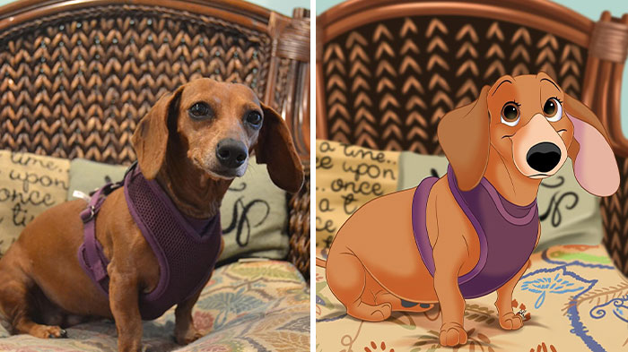 People Send Pictures Of Their Pets To This Artist To Get “Disneyfied” (20 New Pics)