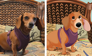 20 Adorable Pet Portraits In Disney Style By Alessia Ciullo (New Pics)