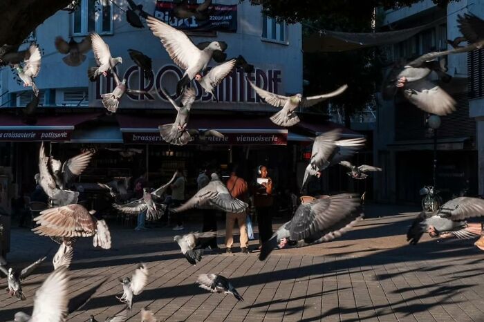 40 Captivating Street Shots Curated By "Pure Street Photography"