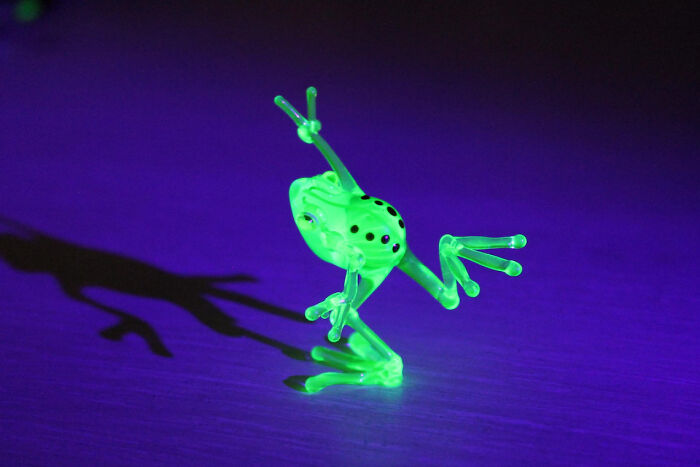 I Created Uranium Frogs That Glow Under The Ultraviolet Light For A Theme Party